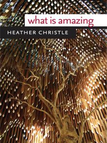 What Is Amazing - ebook